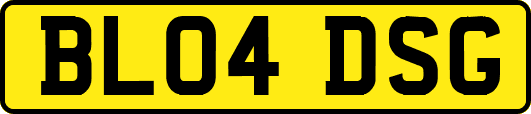 BL04DSG