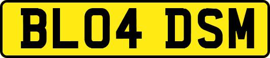 BL04DSM