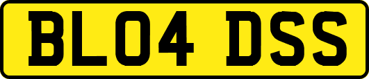 BL04DSS