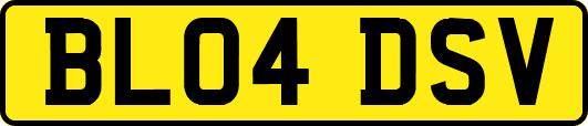 BL04DSV