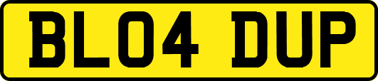 BL04DUP