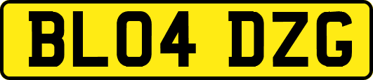 BL04DZG