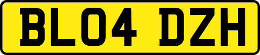 BL04DZH