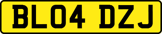 BL04DZJ