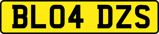 BL04DZS