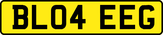 BL04EEG