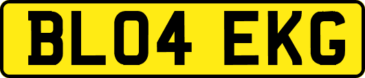 BL04EKG