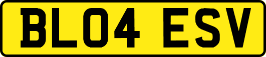 BL04ESV