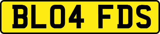 BL04FDS