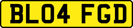 BL04FGD