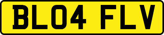 BL04FLV