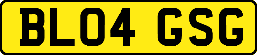 BL04GSG
