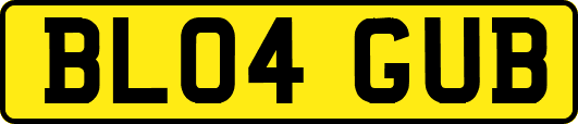 BL04GUB