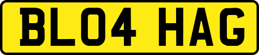 BL04HAG
