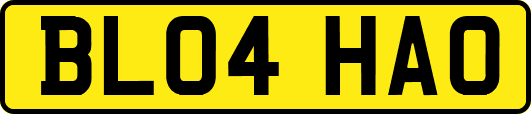 BL04HAO