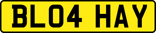 BL04HAY