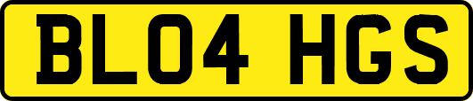 BL04HGS