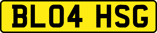 BL04HSG