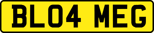 BL04MEG