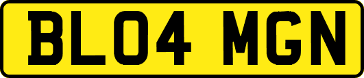 BL04MGN