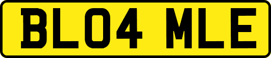 BL04MLE