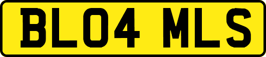 BL04MLS
