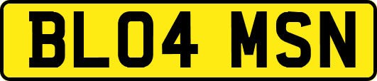 BL04MSN
