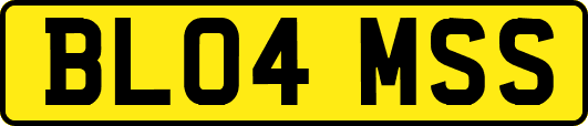 BL04MSS
