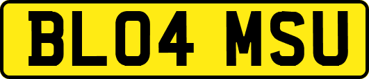 BL04MSU