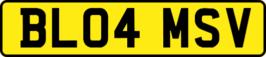 BL04MSV