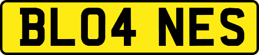 BL04NES