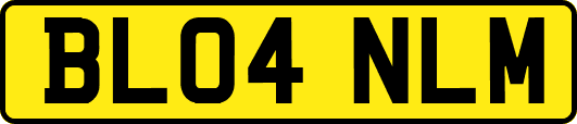 BL04NLM