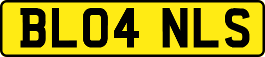 BL04NLS