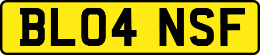 BL04NSF