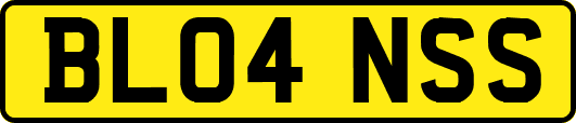 BL04NSS