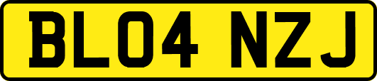 BL04NZJ