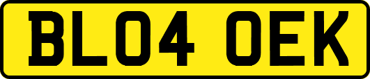 BL04OEK