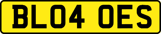 BL04OES