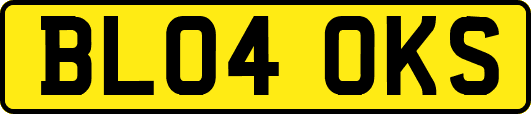 BL04OKS
