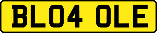 BL04OLE