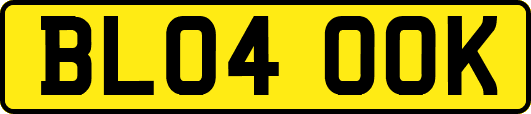 BL04OOK