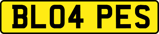 BL04PES