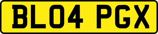 BL04PGX