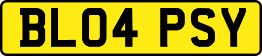 BL04PSY