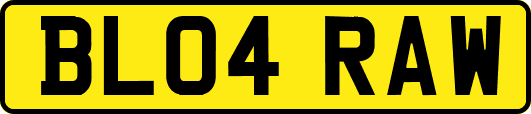 BL04RAW