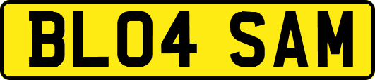 BL04SAM