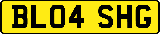 BL04SHG