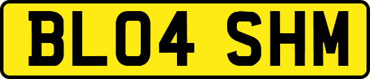BL04SHM