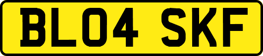 BL04SKF