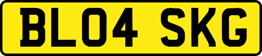 BL04SKG